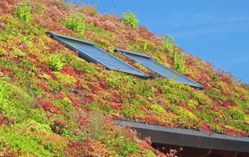 North Buckland living roof systems