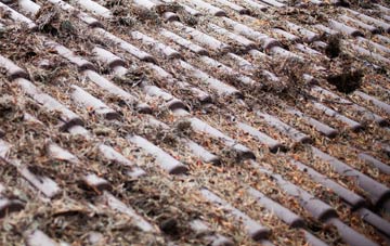 North Buckland roof cleaning companies